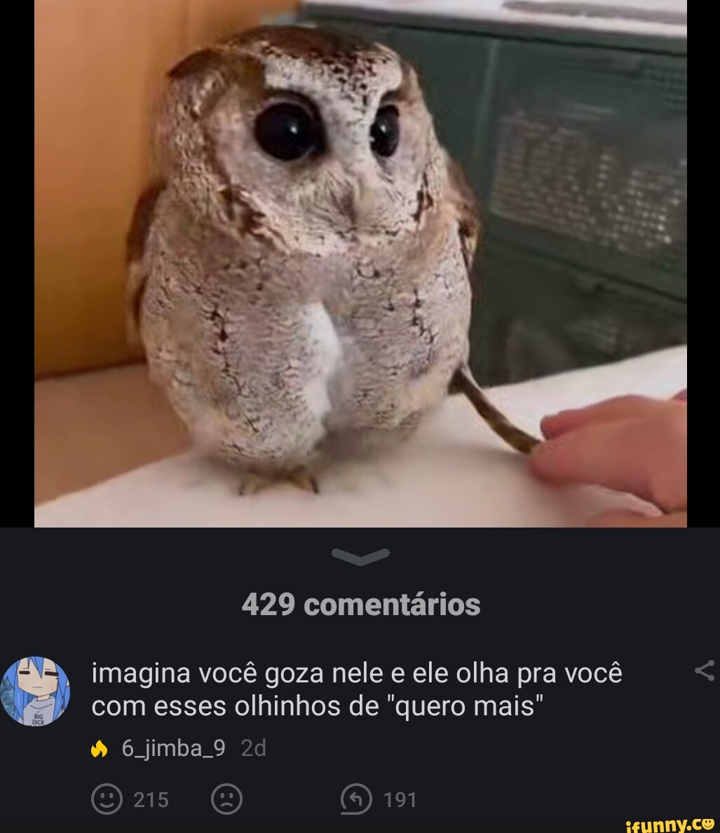 429 comentários imagina você goza nele e ele olha pra você com esses  olhinhos de 