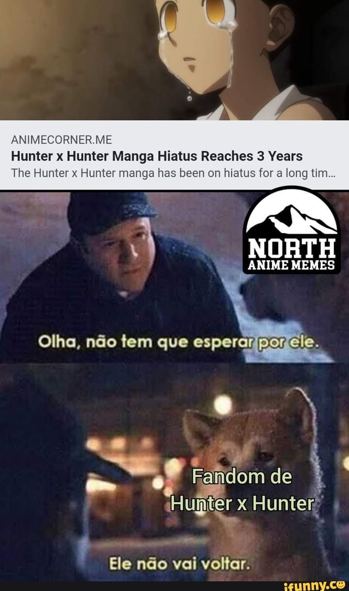 Hunter x Hunter está de volta após anos de Hiato - iFunny Brazil