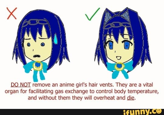 Do Not Remove An Anime Girls Hair Vents They Are A Vital Organ For