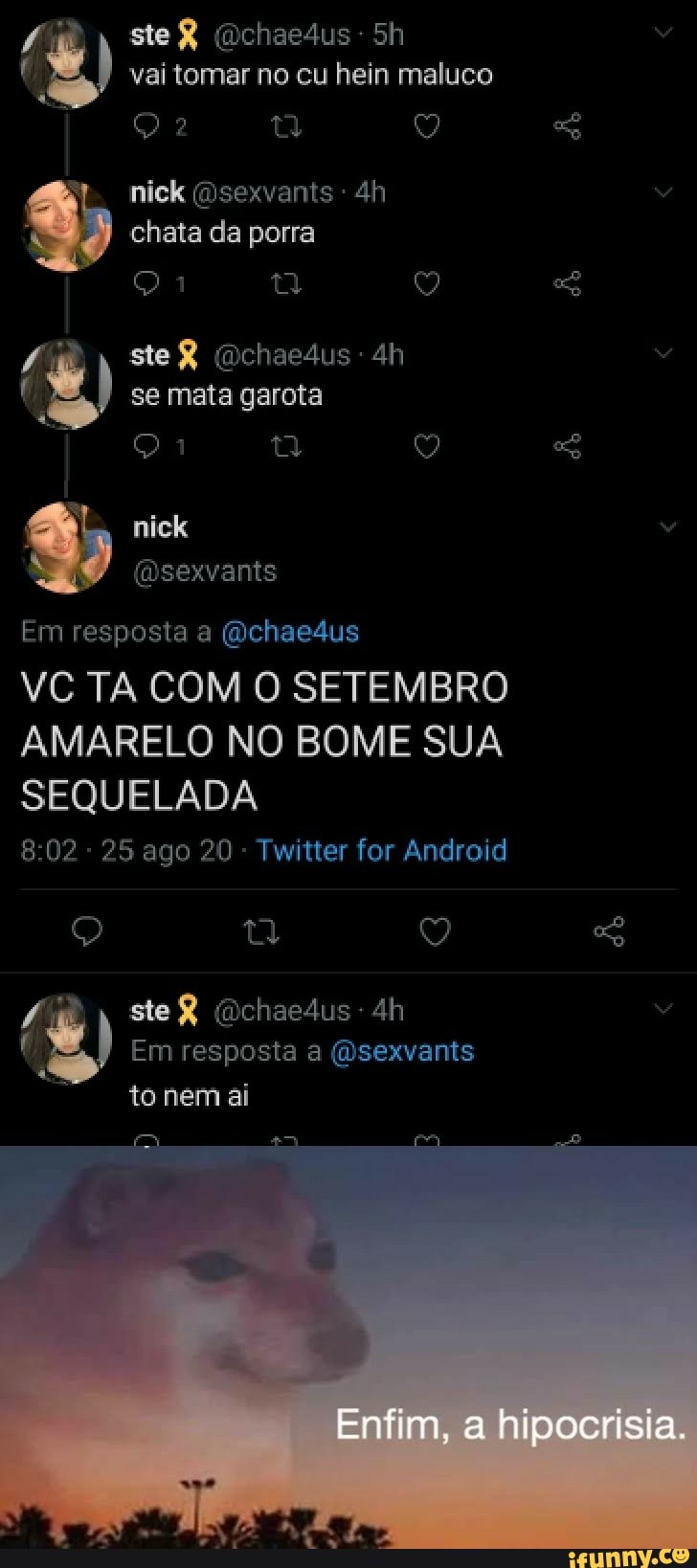 Vai tomar no cu hein maluco nick (nsexvants - chata da porra SeR ( se mata  garota Em