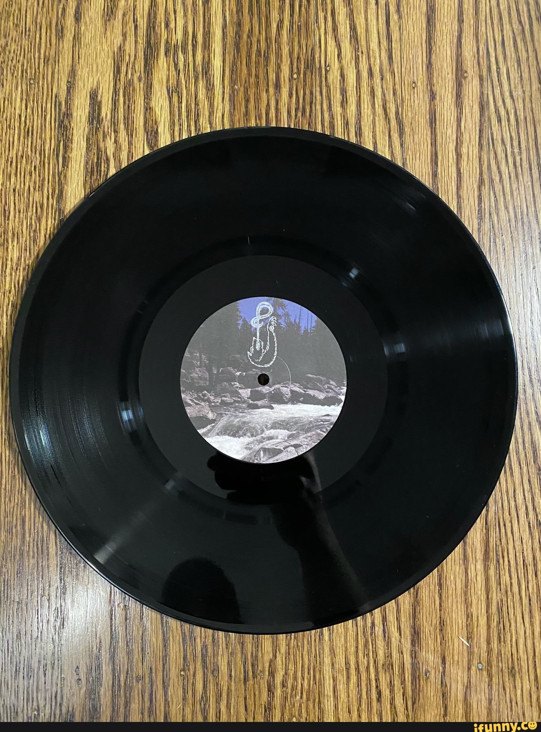 Vinyl_record memes. Best Collection of funny Vinyl_record pictures on