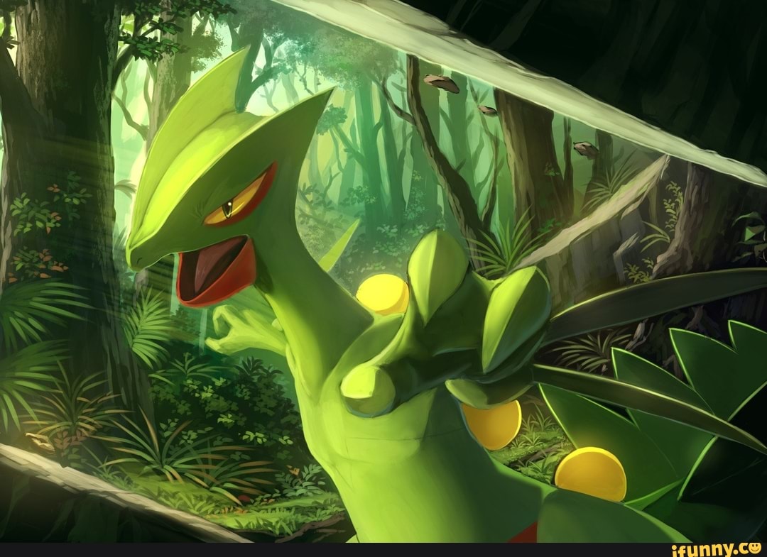 Terminei o pokémon quetzal no modo aleatório, esse foi o meu time Chamito  CHAMPTON! CONGRATULATIONS! - iFunny Brazil