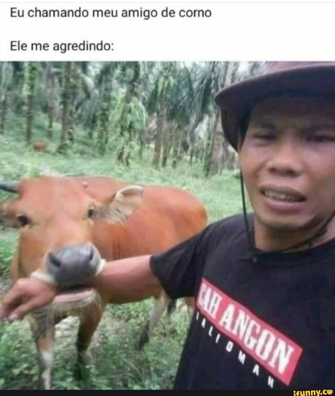 Eu chamando meu amigo de corno Ele me agredindo: - iFunny Brazil