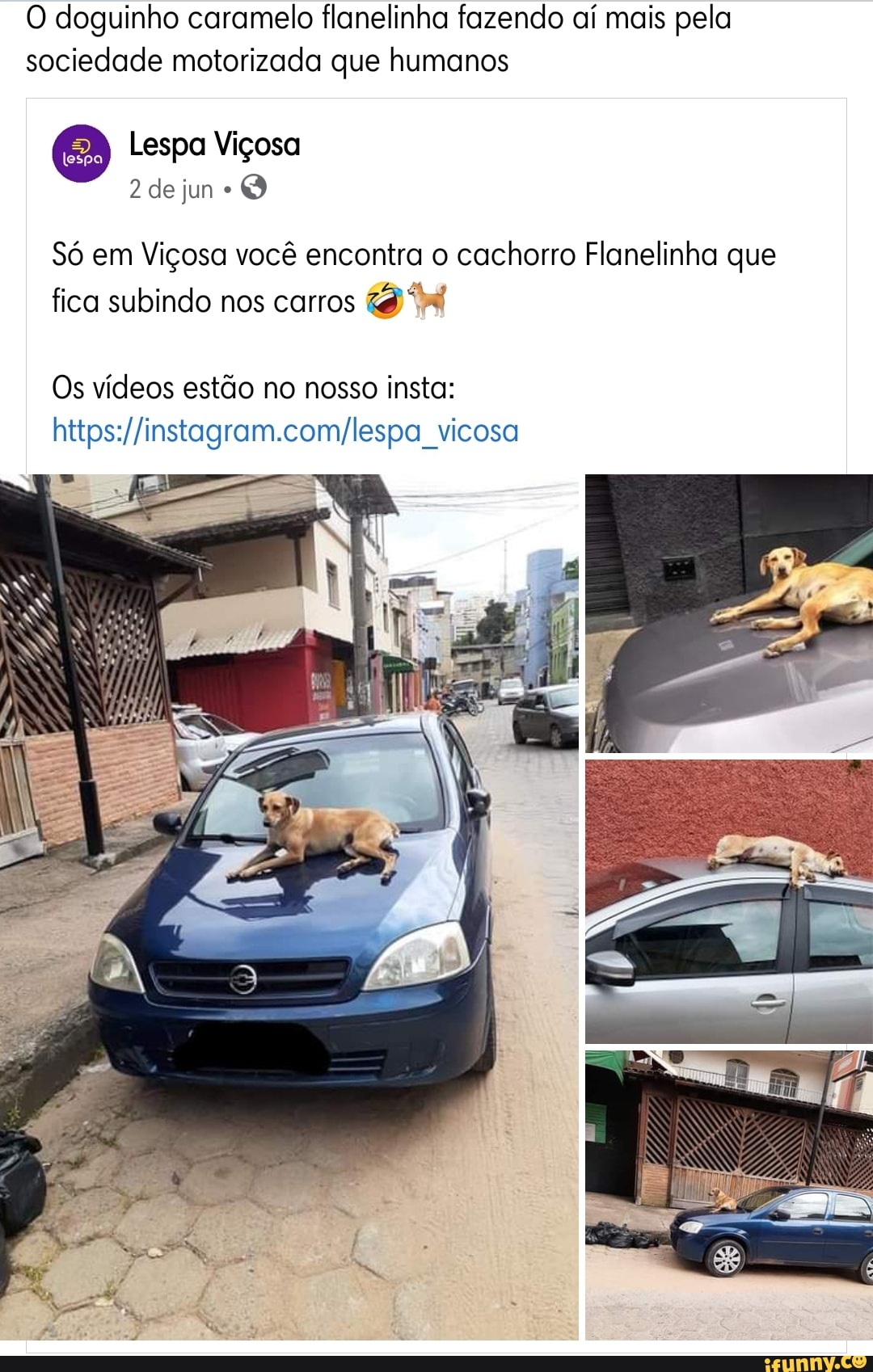 Motorizada memes. Best Collection of funny Motorizada pictures on iFunny  Brazil