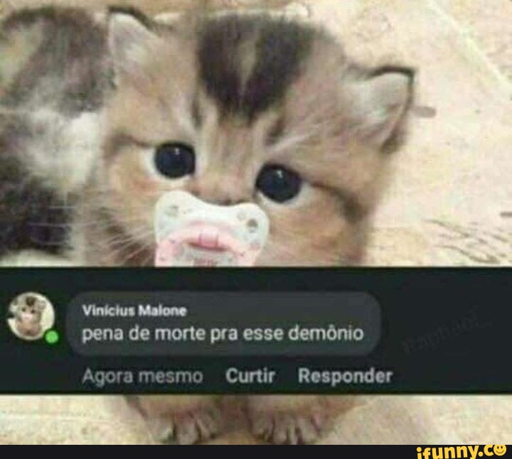 JOGO DO GATO - iFunny Brazil