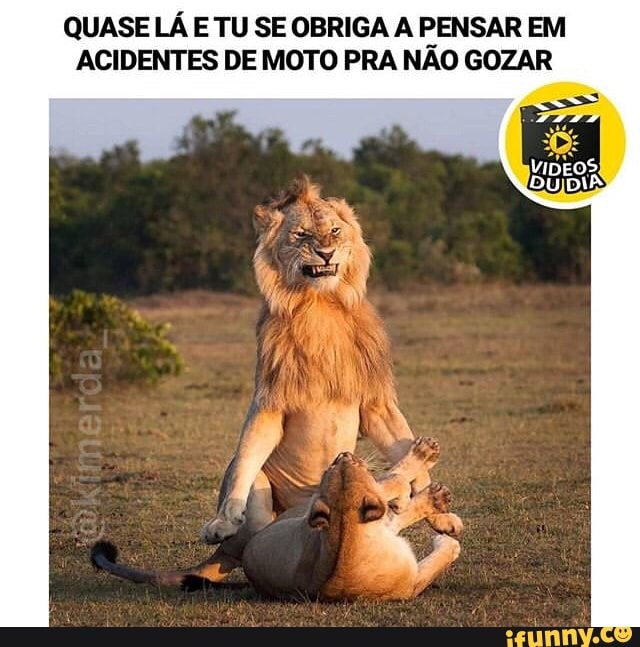 Motomoto memes. Best Collection of funny Motomoto pictures on iFunny Brazil