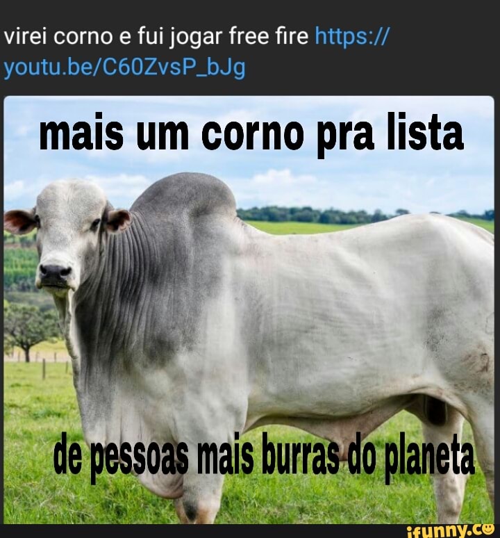 Bora jogar free ﬁre vamos jogar fogo gratis vamos jogar mo com custos  rebaixidos vamos jogarjogo de corno - iFunny Brazil