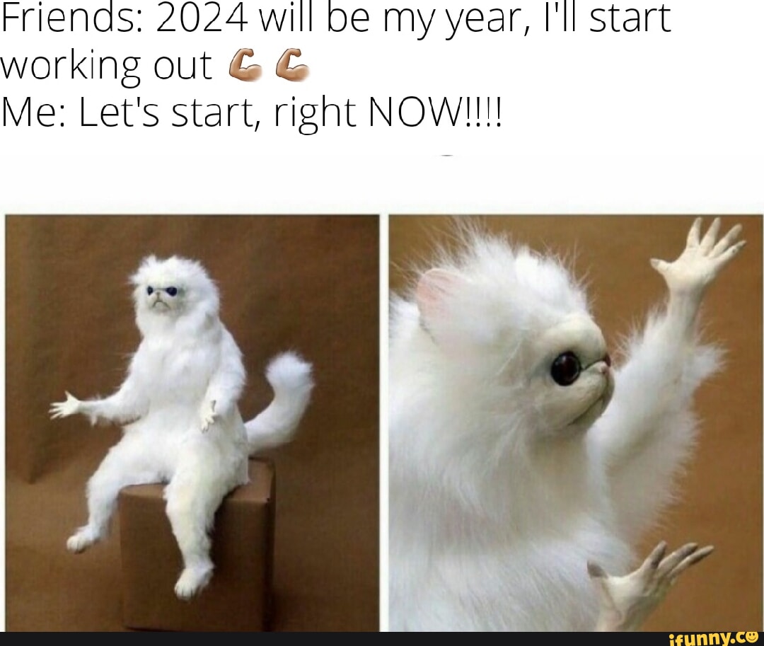 Friends: 2024 will be my year, Ill Start working out & Me: Lets start,  right NOW!!! - iFunny Brazil