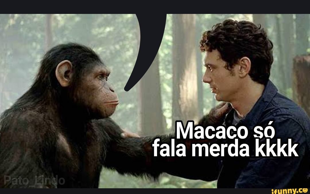 MACACOS ENGRAÇADOS - Os melhores memes de Macacos Engraçados