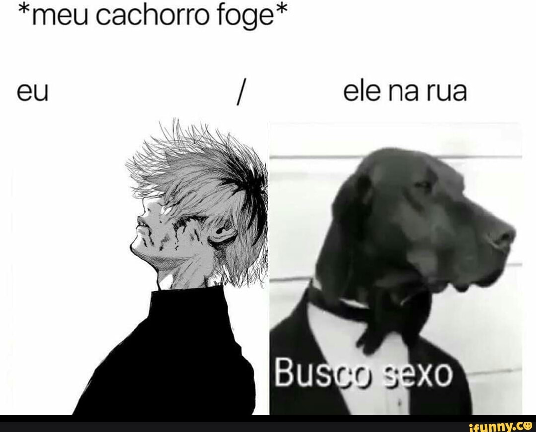 meu cachorro foge* eu / ele na rua - iFunny Brazil