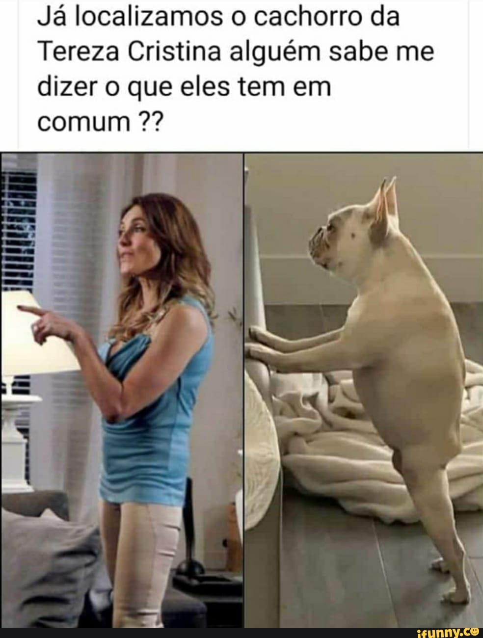 Alguém sabe o nome dessa calça?