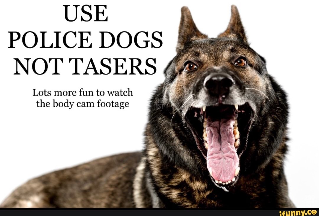 Funny police best sale dog pictures