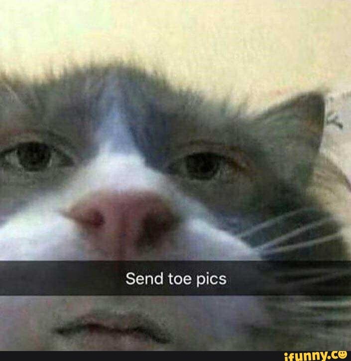 Toesocks memes. Best Collection of funny Toesocks pictures on iFunny Brazil