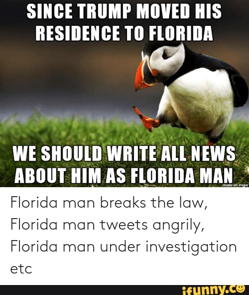 Craziest Florida Man Headlines: The Reason for the Meme's