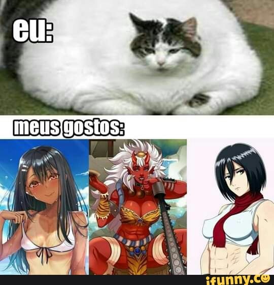 Gatos na vida real gatos nos animes - iFunny Brazil