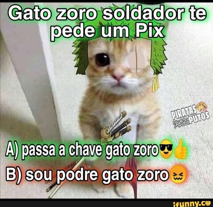 SasE PEGÁR DESITAQUEIDOU PRO ZORO SOLA tripulação - iFunny Brazil