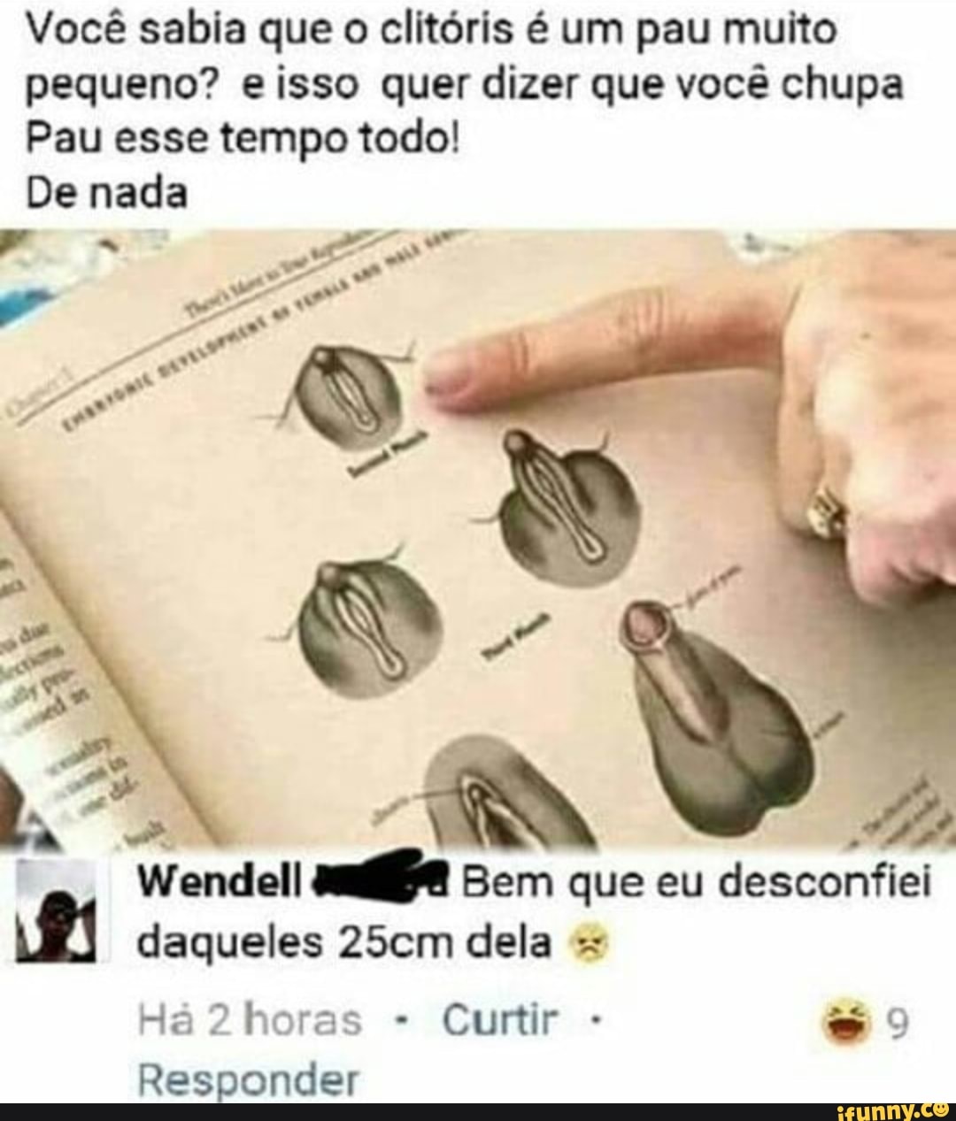 Você sabia que o clitóris é um pau muito pequeno? eisso quer dizer que você  chupa