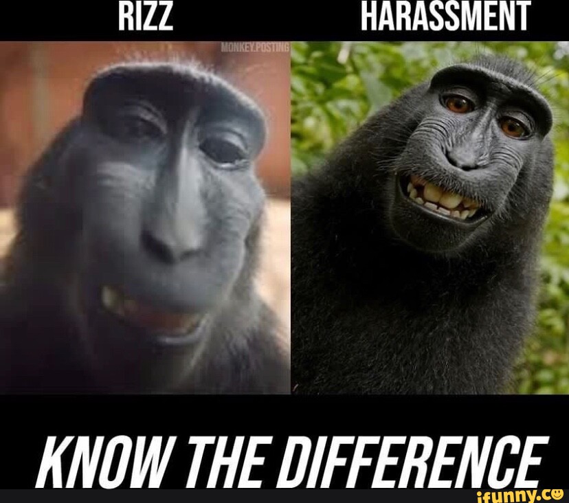 Monkey With Rizz