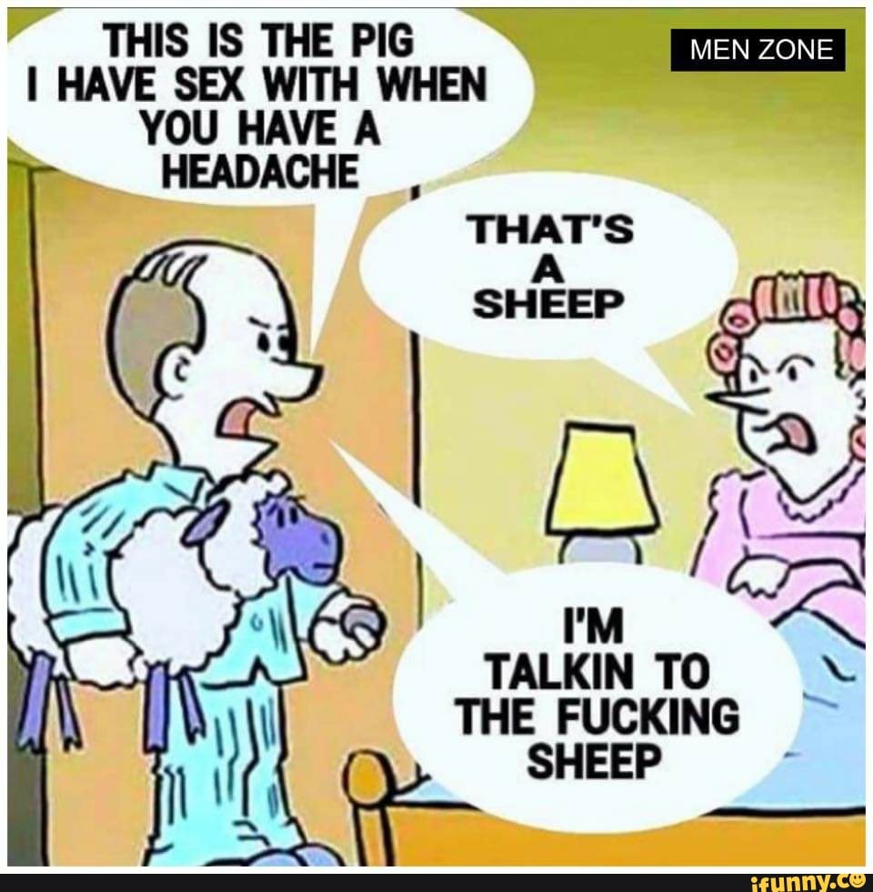 COSA I MEN ZONE I I HAVE SEX WITH WHEN a YOU HAVE A HEADACHE TALKINTO MAS A  SHEEP - iFunny Brazil