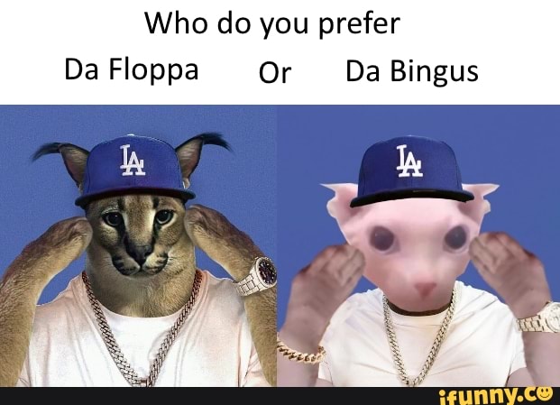 Which do you guys like more? bingus or floppa, personally I more