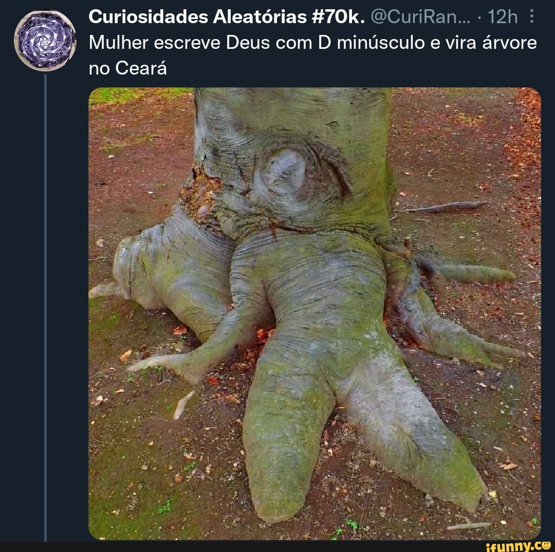 Minúsculo memes. Best Collection of funny Minúsculo pictures on iFunny  Brazil