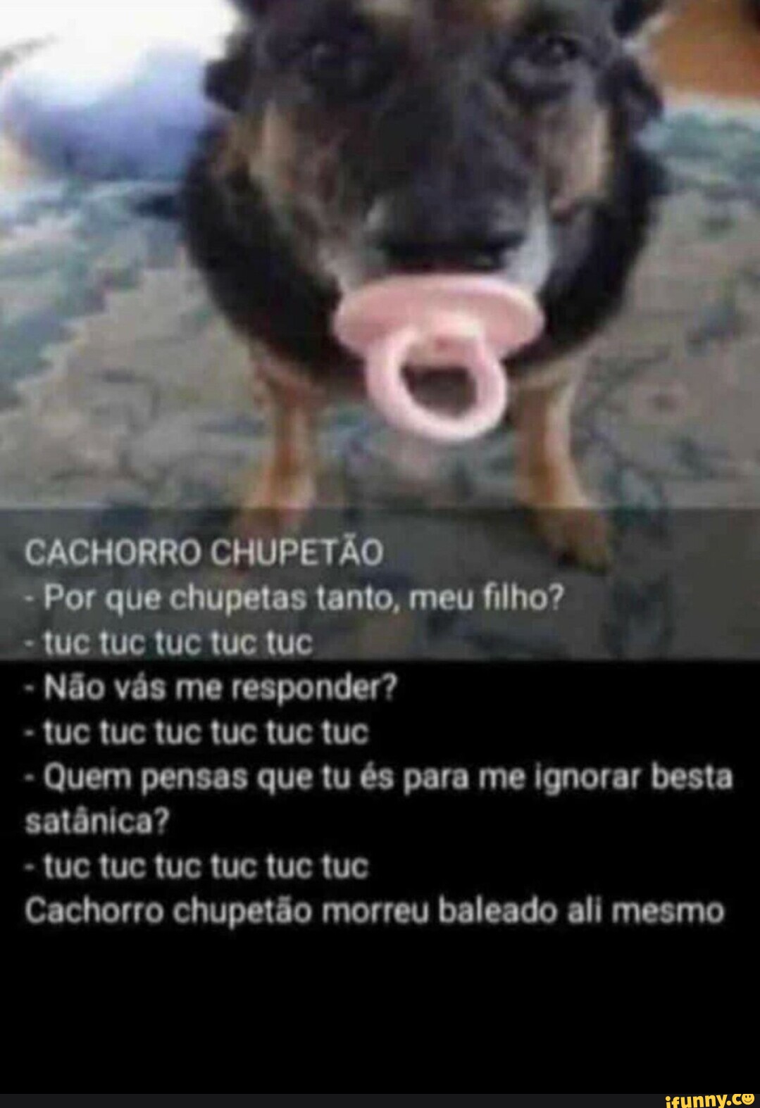 Gente,o cachorro do meme morreu) Press 'F to Pay Respects - iFunny