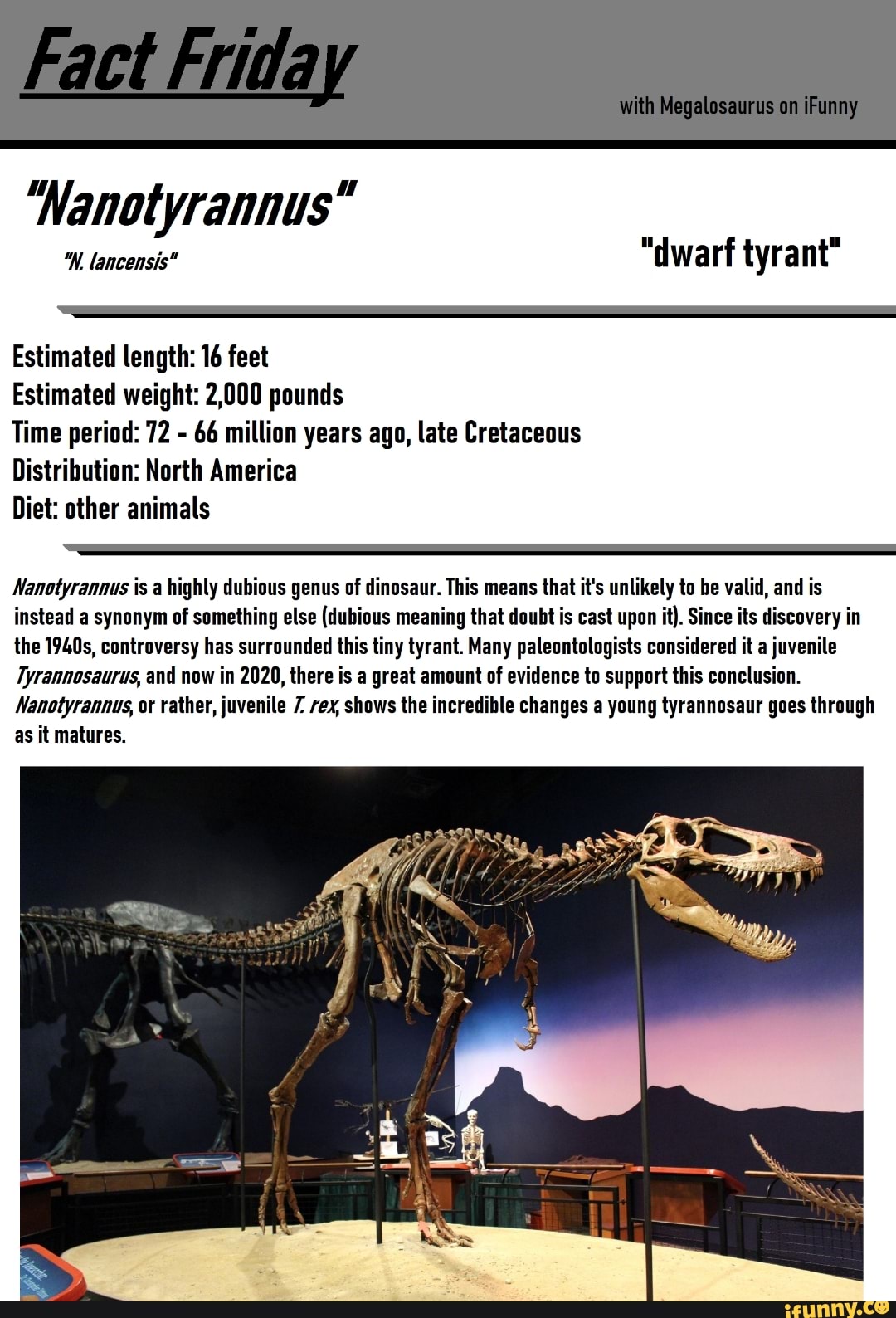'Nanotyrannus" 'W. lancensis" "dwarf tyrant" Estimated length 16 feet