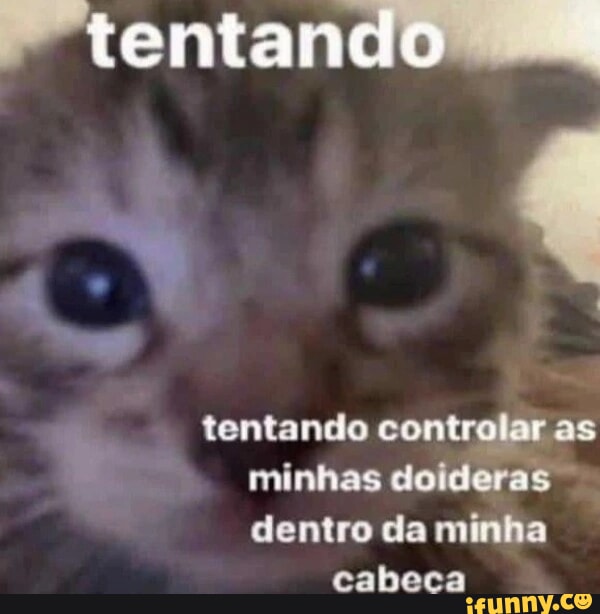 Minhz memes. Best Collection of funny Minhz pictures on iFunny Brazil