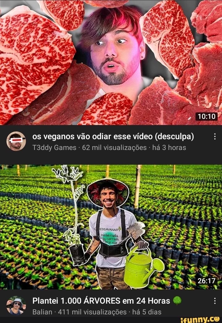 5 Curiosidades do T3DDY