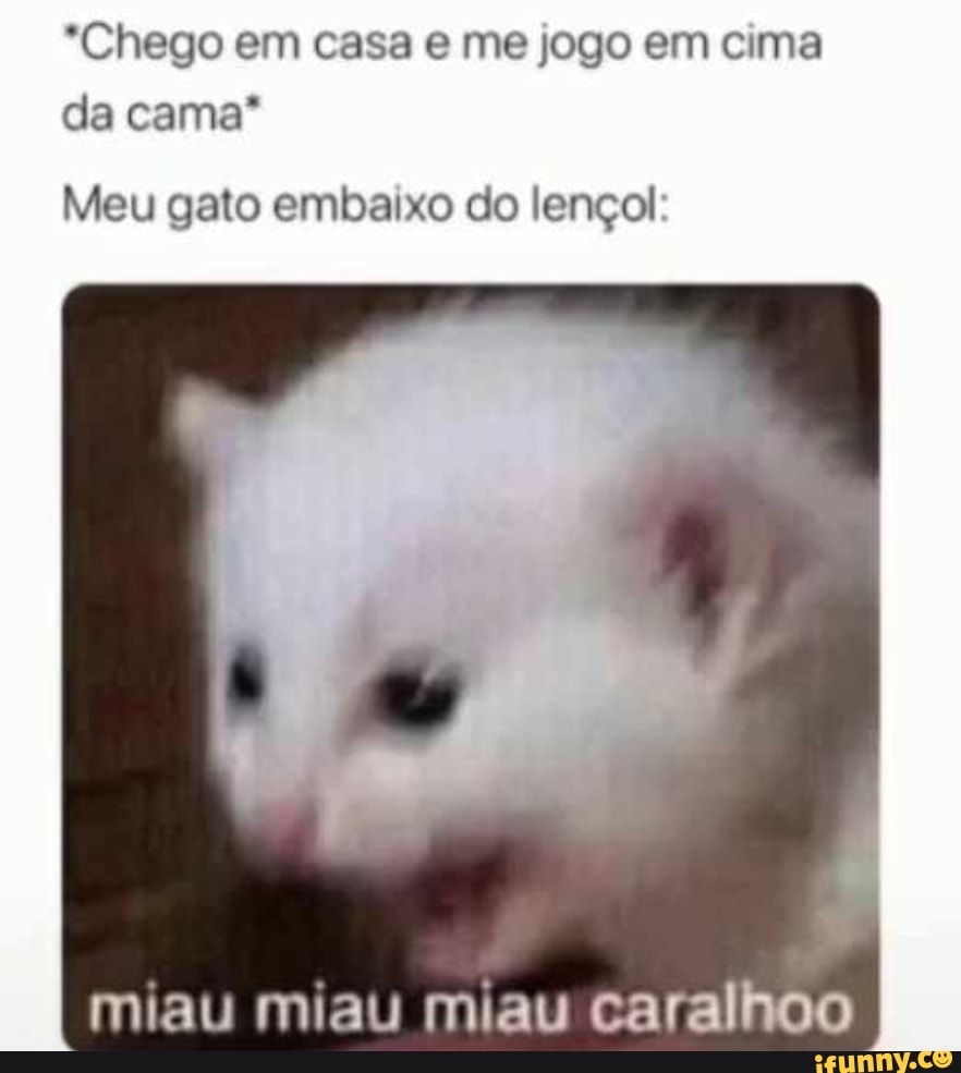 JOGO DO GATO - iFunny Brazil