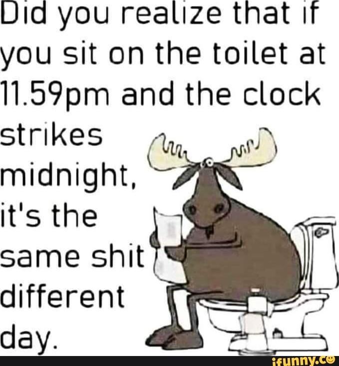 More Later: I sit on the toilet : r/memes