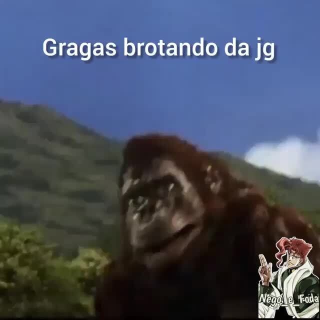 Brotando memes. Best Collection of funny Brotando pictures on iFunny Brazil