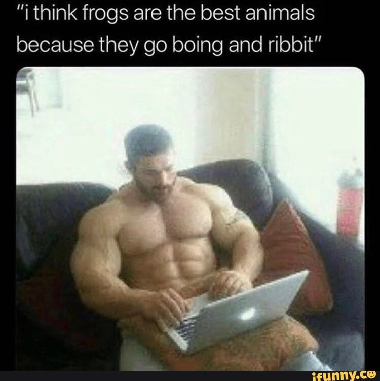 Think frogs are the best animals because they go boing and ribbit
