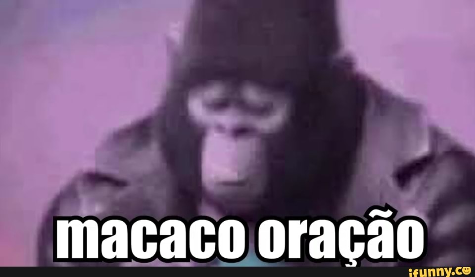 MACACOS ENGRAÇADOS - Os melhores memes de Macacos Engraçados