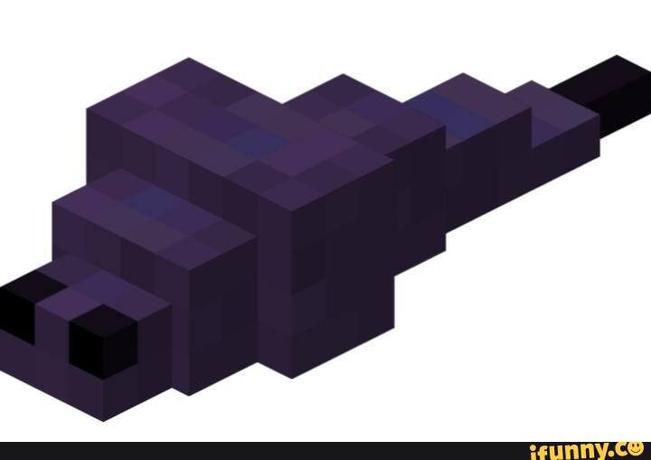 Endermite memes. Best Collection of funny Endermite pictures on