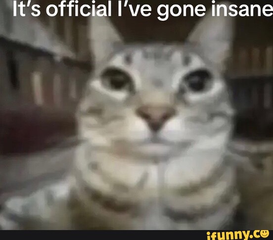 it-s-official-i-ve-gone-insane-ifunny-brazil