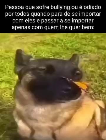 Iperár memes. Best Collection of funny Iperár pictures on iFunny Brazil