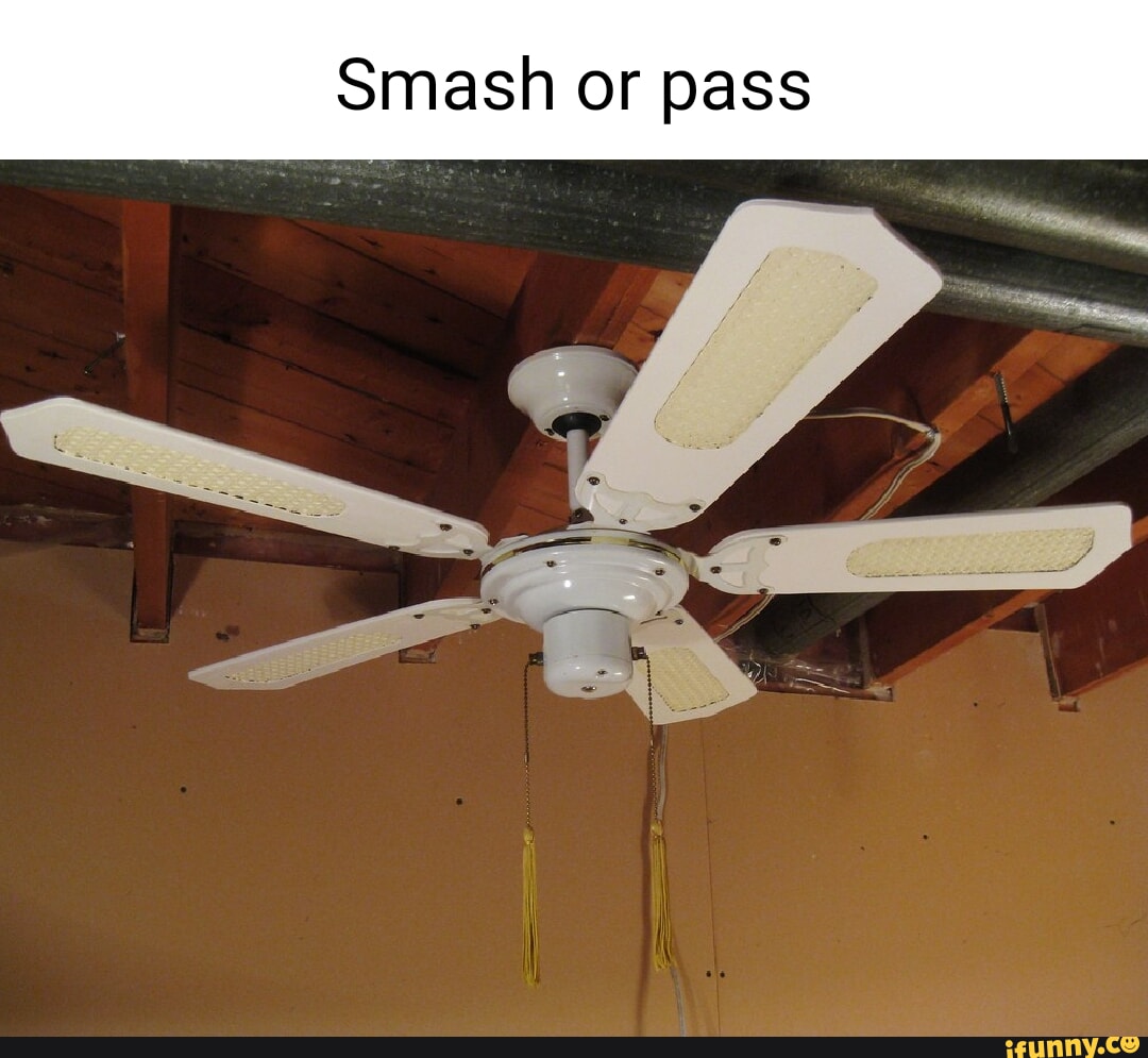 Smash or pass - Smash or pass - iFunny Brazil