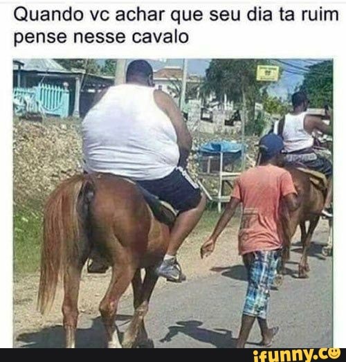 𝐑𝐒 𝐌𝐄𝐌𝐄𝐒 on X: Tchê, esse cavalo tá de frente ou de costas? 🤔   / X