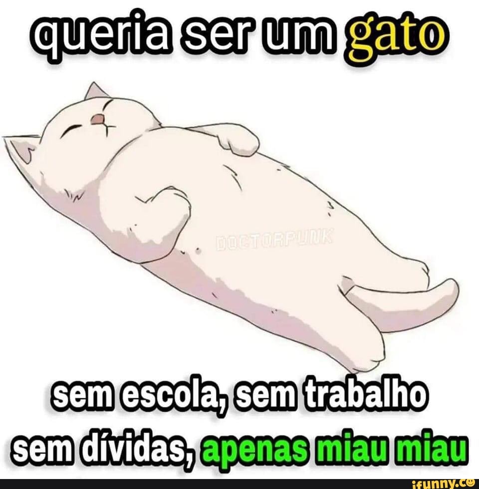 trabalho engraçado de meme de gato