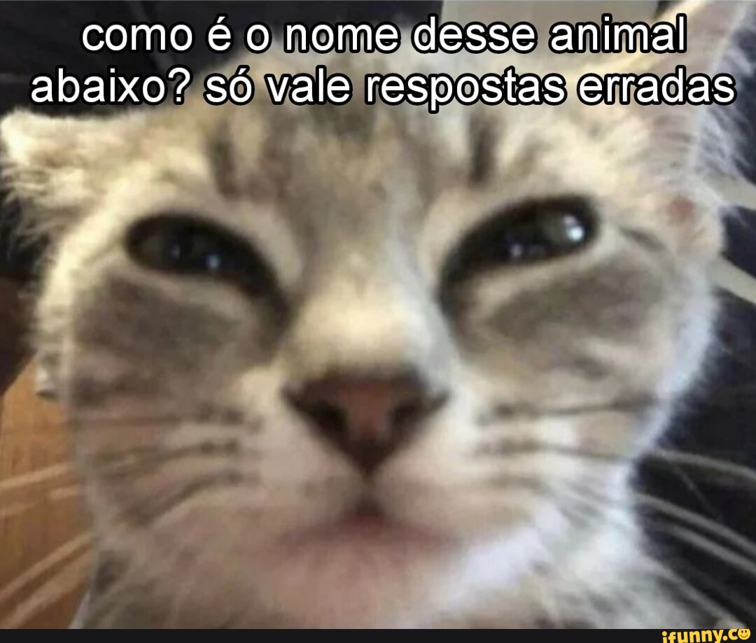 Memes de imagem ZXwfBXtaA por ER4SED: 4 comentários - iFunny Brazil