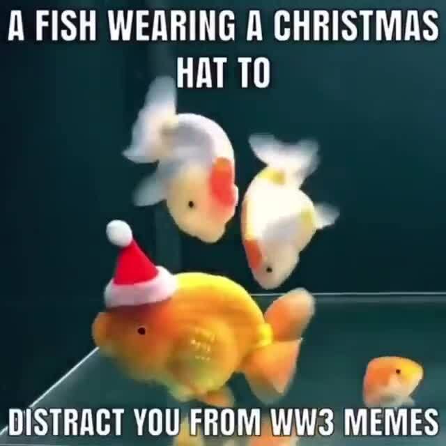 A FISH WEARING A CHRISTMAS HATTO NISTROCT VAU FROM Ww? MEMES