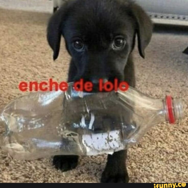 Loló memes. Best Collection of funny Loló pictures on iFunny Brazil