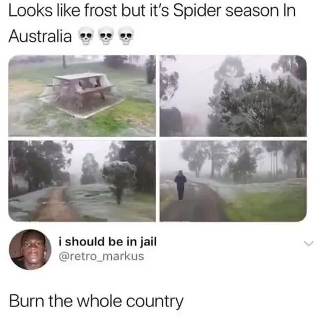 It's not snow, it's just the spider season in Australia 😱