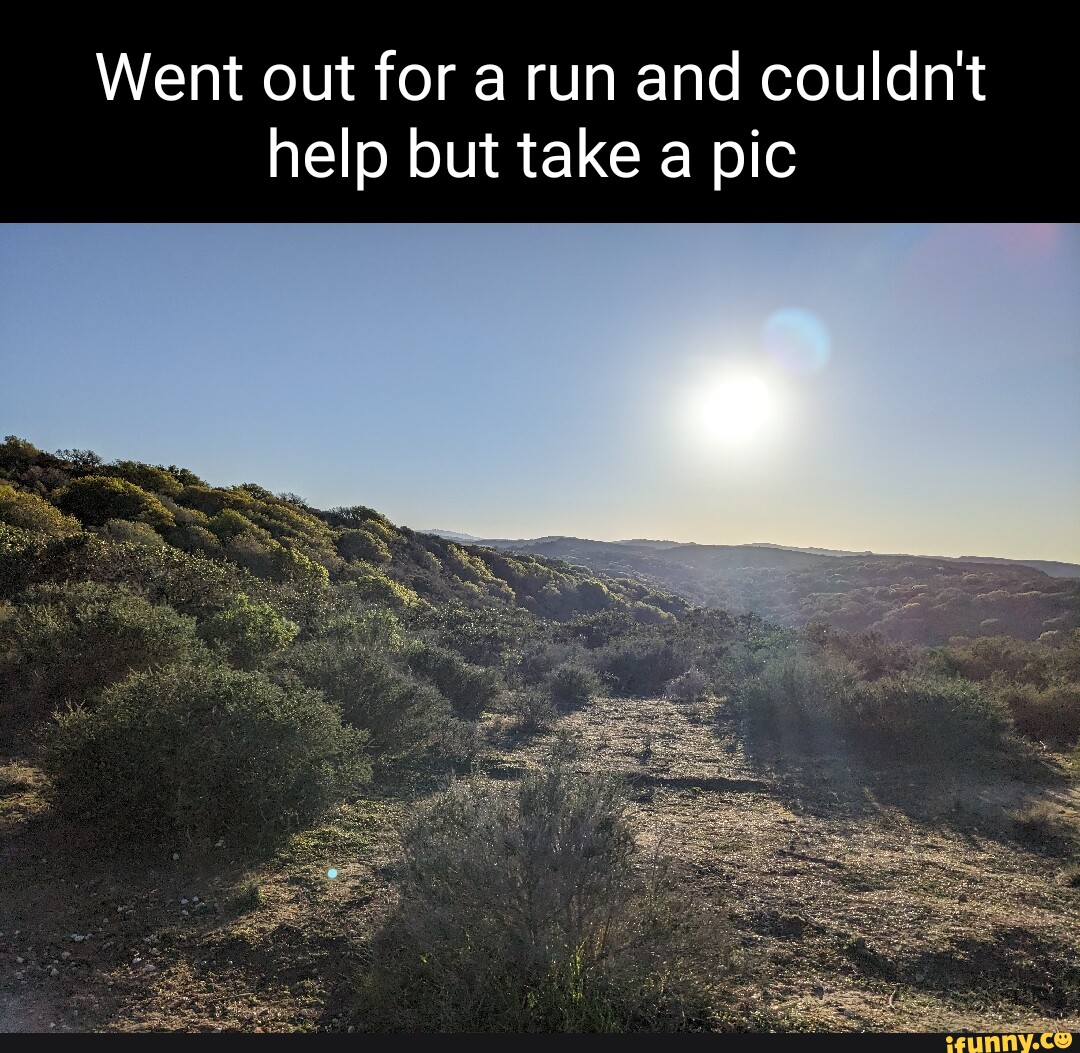 Went out for a run and couldn't help but take a pic - iFunny Brazil