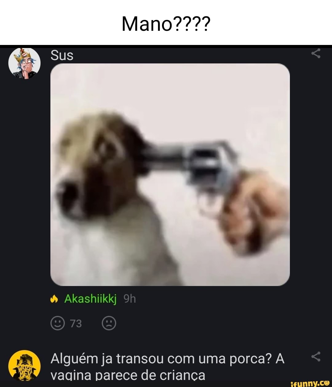 Sus Akashiikkj Alguém ja transou com uma porca? A vagina parece de crianca  - iFunny Brazil