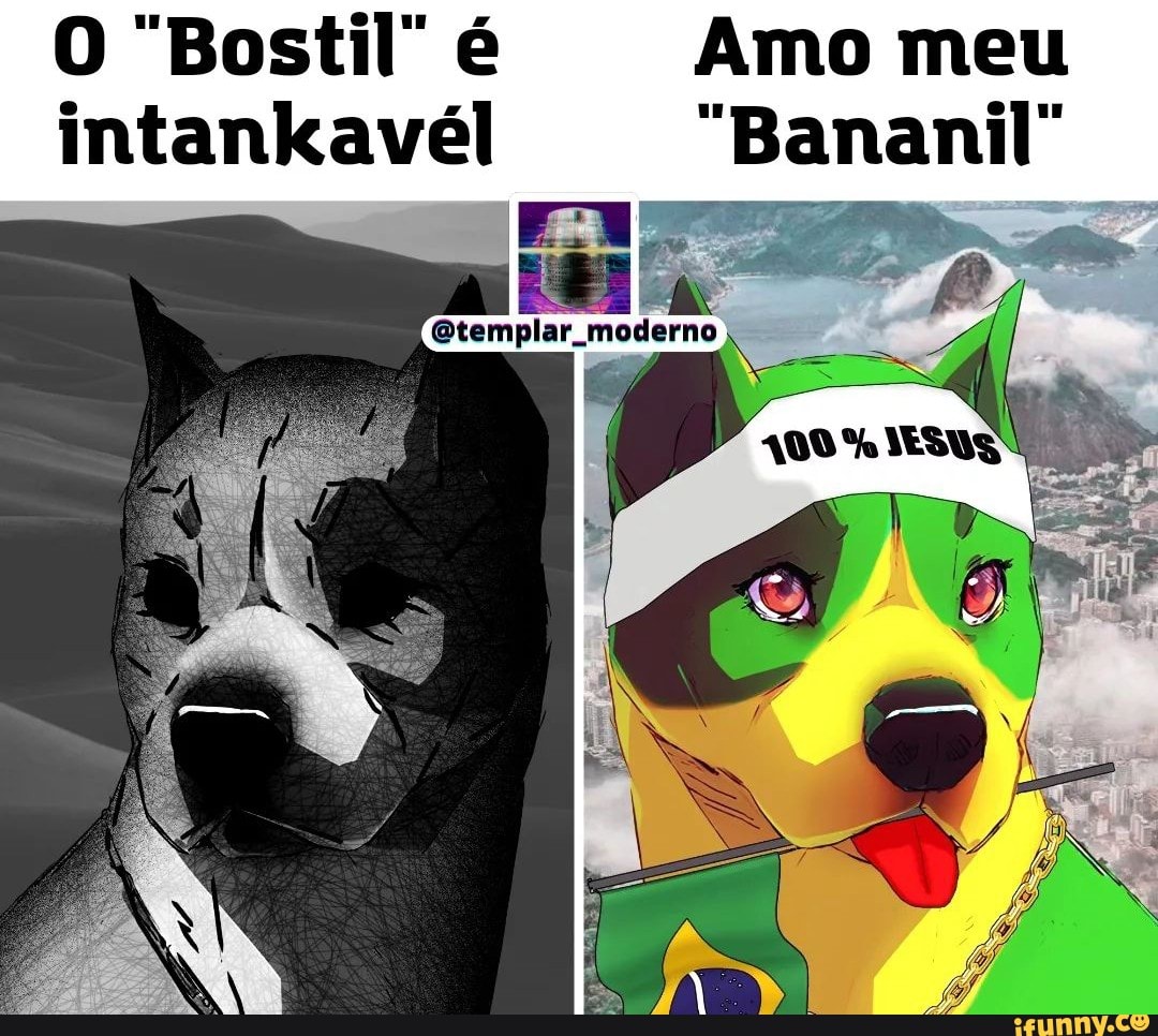 Quando eu estou morrendo na Fila do SUS e me lembro do meme do cachorro  Falando Intankavelo Bostil - iFunny Brazil