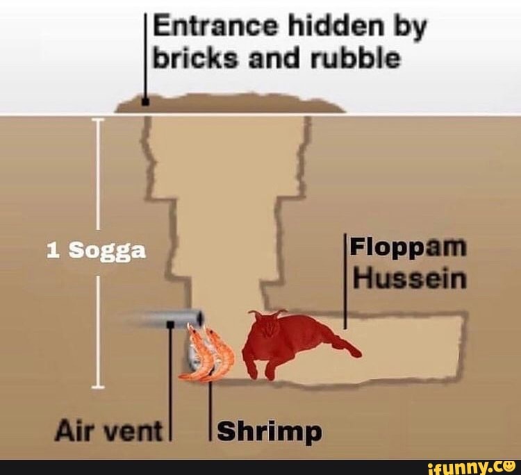 Sogga memes. Best Collection of funny Sogga pictures on iFunny Brazil