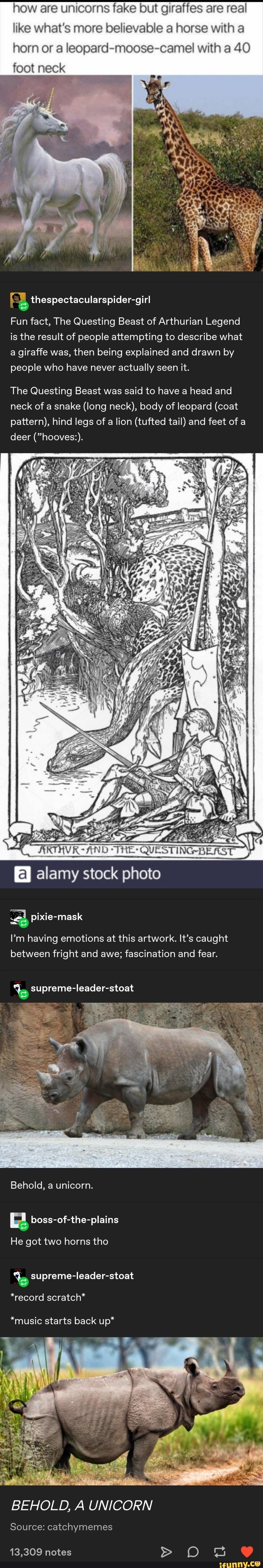 How are unicorns fake but giraffes are real like what's more believable