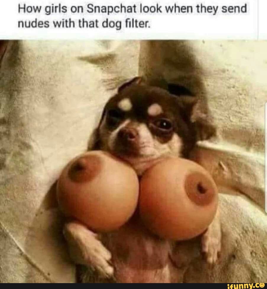 How girls on Snapchat look when they send nudes with that dog ﬁller. -  iFunny Brazil